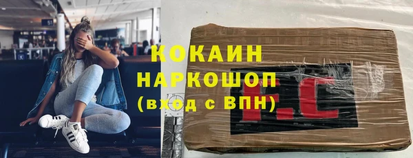 индика Бугульма