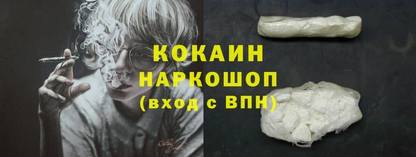 индика Бугульма