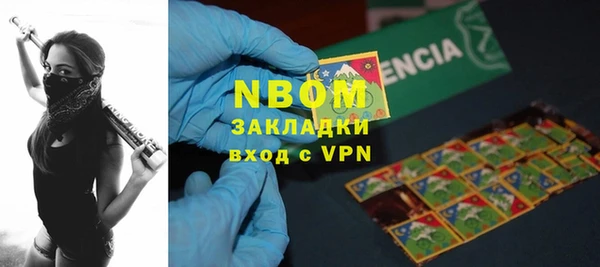 индика Бугульма