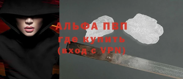 индика Бугульма