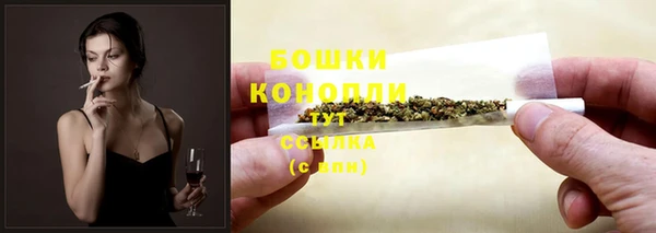 индика Бугульма