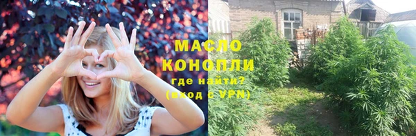 индика Бугульма